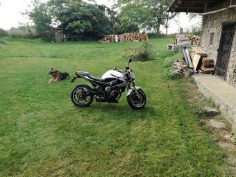 YAMAHA XJ6n - 2