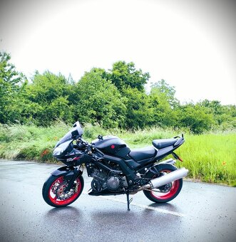 SUZUKI SV 1000S - 2