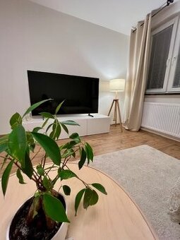 3-izb.zrekonštruovaný byt na Zvolenskej ul., loggia - 2