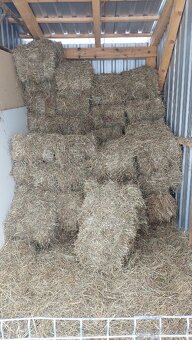 Seno malé balíky - 2