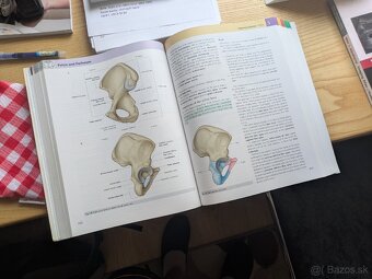 GRAY'S ANATOMY FOR STUDENTS 2ND ED. - 2