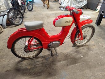 Jawetta sport - 2