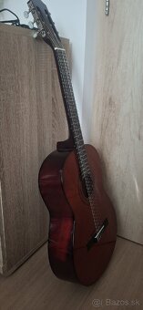 Akustická gitara Ashton - 2