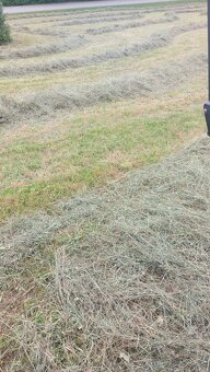 Mladza otava seno - 2