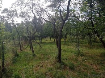 Záhrada na Zemplínskej Šírave - 2