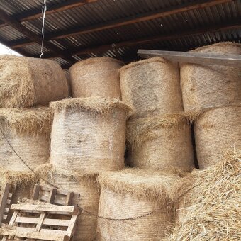 Predám seno - 2