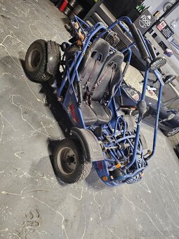 Buggie bashan 250cm³ - 2