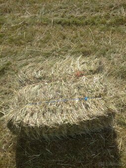 Seno malé balíky - 2