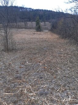 Predám lesnú frézu seppi - 2