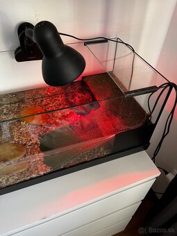 Korytnačka  písmenkova + akvárium - 2