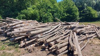 Predám palivové drevo buk - 2