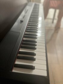 Predám SDP-2 stage piano aka nové - 2