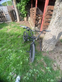 BMX Galaxy earl bird - 2