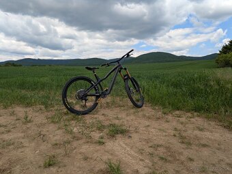 DARTMOOR Hornet Pro - 2