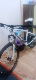 Dámsky - 2