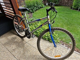 Dámsky bicykel - 2