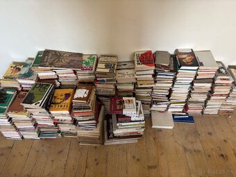 Cca 250 knih - 2