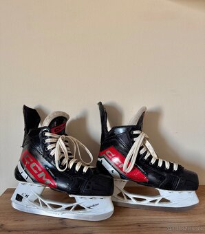 CCM korčule - 2
