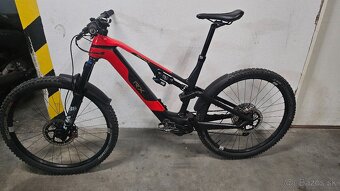 Rotwild - 2
