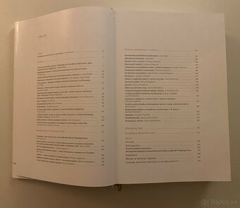 Renesancia. Dejiny slovenského vytvarneho umenia - 2