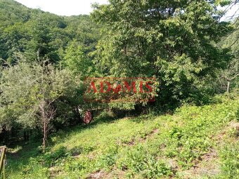 ADOMIS – Predaj pozemok Nižný Klátov, pre chatu alebo chatov - 2