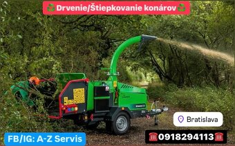 Čistenie pozemkov od náletovych drevín/Mulčovanie/Pílenie - 2