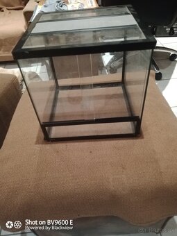 Terarium 25x25x25 - 2