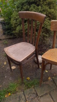Thonet stoličky 40eur/kus - 2
