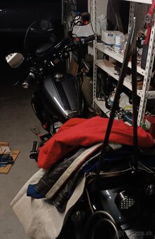 Opierka spolujazdca Sissy bar - 2