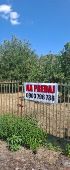 Predaj vinice s jabloňami 10 árov Levice - 2