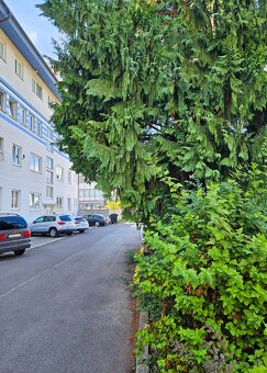 ID 3139 Prenájom: kancelárie 22 m2, 22 + 21,5 m2, širšie c - 2