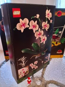 LEGO® Icons 10311 Orchidej - 2