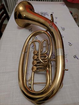 Lesny roh tenorovy - 2