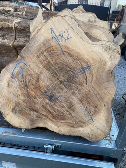 Brest priečny rez,kolač - 2