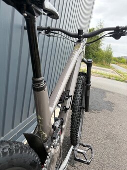 Forbidden druid V1 2022 L - 2