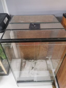 Terarium - 2
