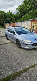 Peugeot 407SW - 2