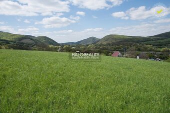 HALO reality - Predaj, rekreačný pozemok Tekovská Breznica - - 2