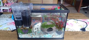 Akvarium - 2