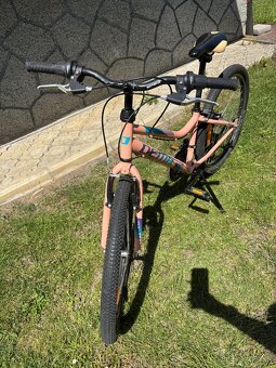 Bicykel dema 24 - 2