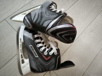 Bauer 31 - 2