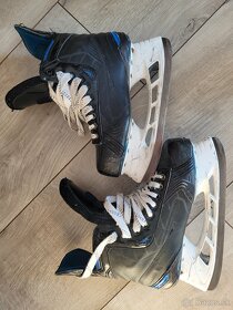 korcule bauer nexus 1N 9,5 45 - 2