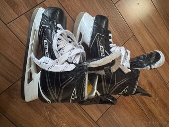 Predam Bauer supreme 1S - 2