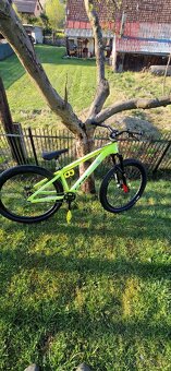 Ctm dirtking - 2