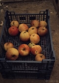 Plastové bednicky - 2