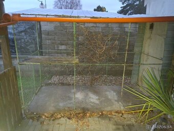 Voliera 3x1,5m - 2