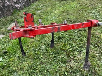 Terra - radlickovy kypric - 2