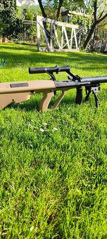 Steyr - 2