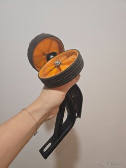 Kellys Alpina Starter 2025 - 2