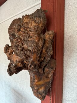 Samorast - 2